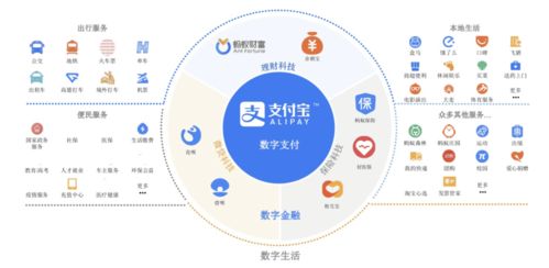 信息服務業務 拆解螞蟻萬億市值背后的數據引擎